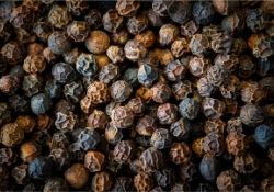 Black Pepper